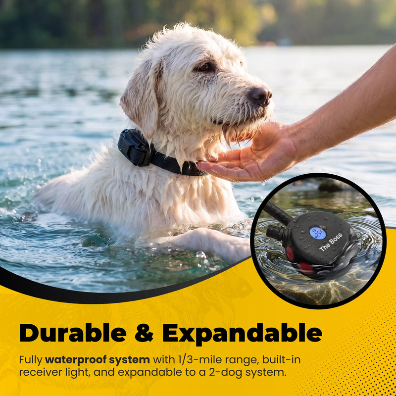 Boss Educator ET-800 Remote Dog Training Collar Black-zoom-