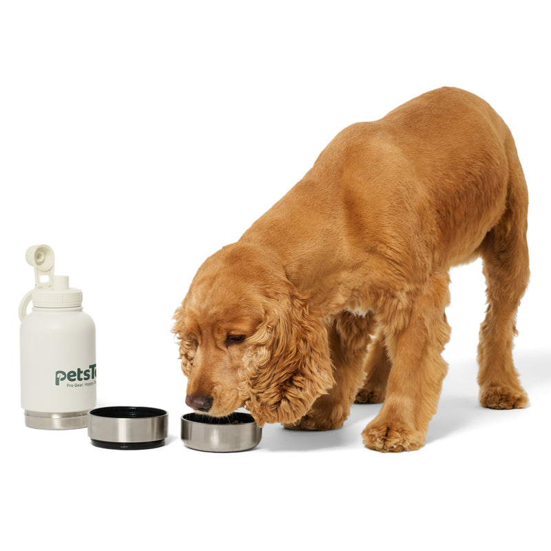 PetsTek Portable Dog Water Bottle - 3 in 1 Insulated Stainless Steel Travel Bowl and Dispenser with Leak Proof Magnetic Lid-zoom-