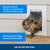 Cat Going Through PetSafe - ZPA00-16203 Wall Entry Pet Door Large