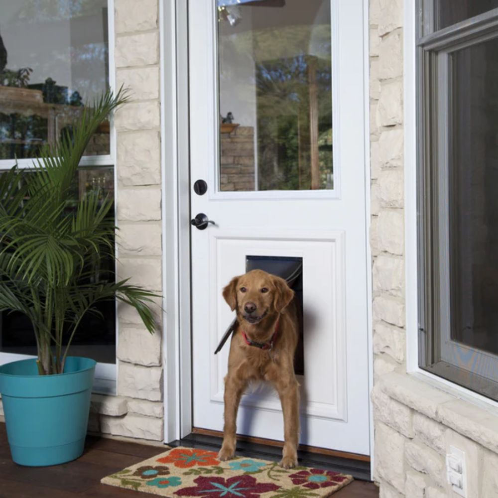 Dog Using the PetSafe RPA00-12116 Panel Pet Door