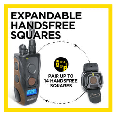 Dogtra 1900S Handsfree Plus B&L Remote Training Collar with Expandable Square