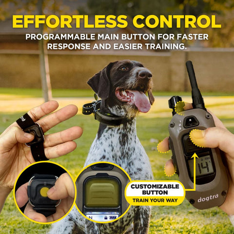 Dogtra 1900X Handsfree 1-Dog Remote Training E-Collar for Effortless Control