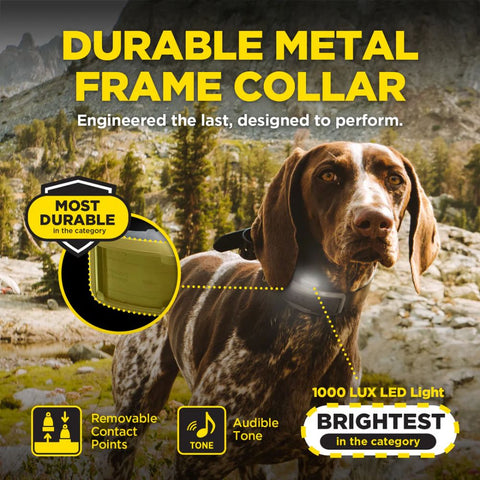 Most Durable Dogtra 1900X Handsfree 1-Dog Remote Training E-Collar