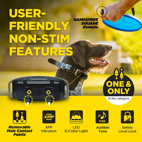 Dogtra 1900X Handsfree 1-Dog Remote Training E-Collar User Friendly Swim