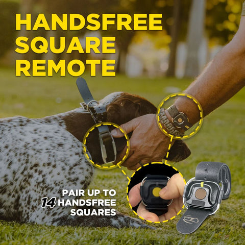 Dogtra 1900X Handsfree 1-Dog Remote Training E-Collar with up to 14 Handsfree Squares