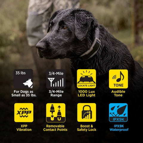 Dogtra 1900X Features