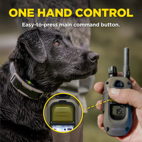 Dogtra 1900X One-Hand Control