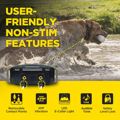 Dogtra 1900X User-Friendly Features