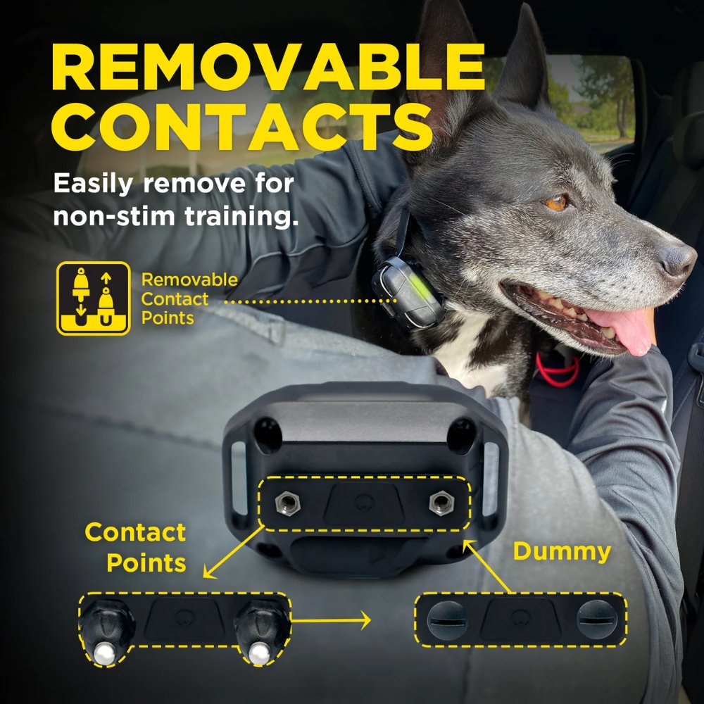 Dogtra 280X Remote Training E-Collarwith Removable Contact Points