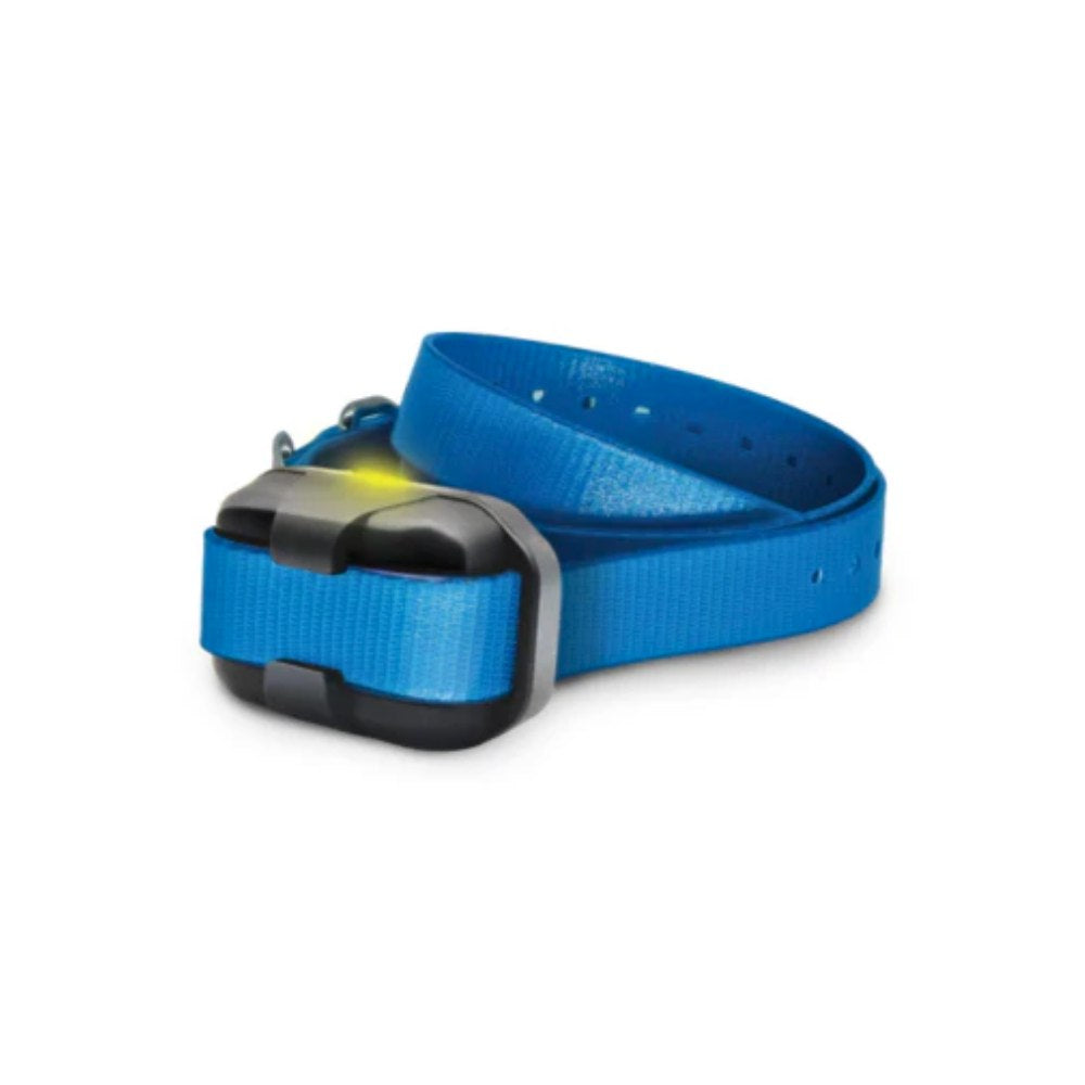 Dogtra 280X Additional Receiver in Blue