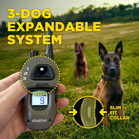Expandable Dogtra ARC-X Remote Training Collar