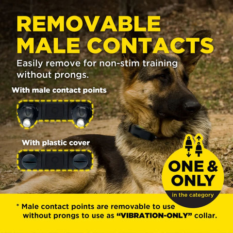 Dogtra ARC-X Remote Training Collar with Removable Contact Points