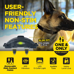 Dogtra ARC-X Remote Training Collar Non Stimulation Features