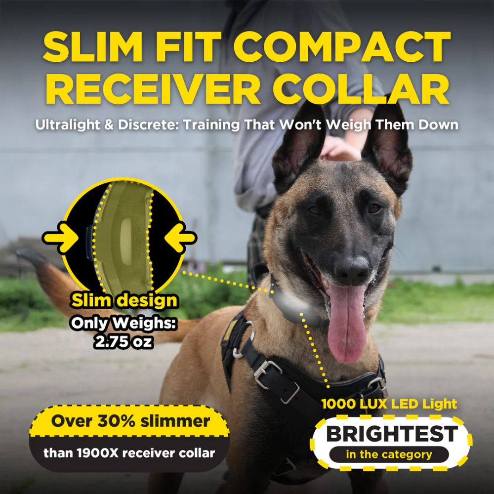 Dogtra ARC-X Remote Training Collar Slim Fit Collar