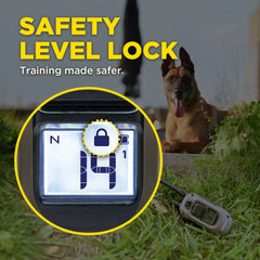 Dogtra ARC-X Remote Training Collar Safety Lock