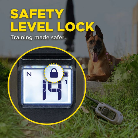 Dogtra ARC-X Remote Training Collar Safety Lock