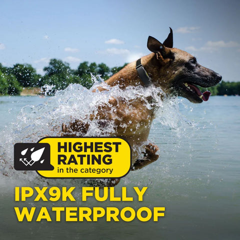 Dogtra ARC-X Remote Training Collar Waterproof