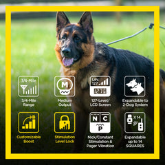 Dogtra ARC Handsfree Plus B&L Remote Training Collar Features