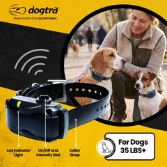 petstek.myshopify.com Dogtra - YS600 - No Bark Collar  Dogtra