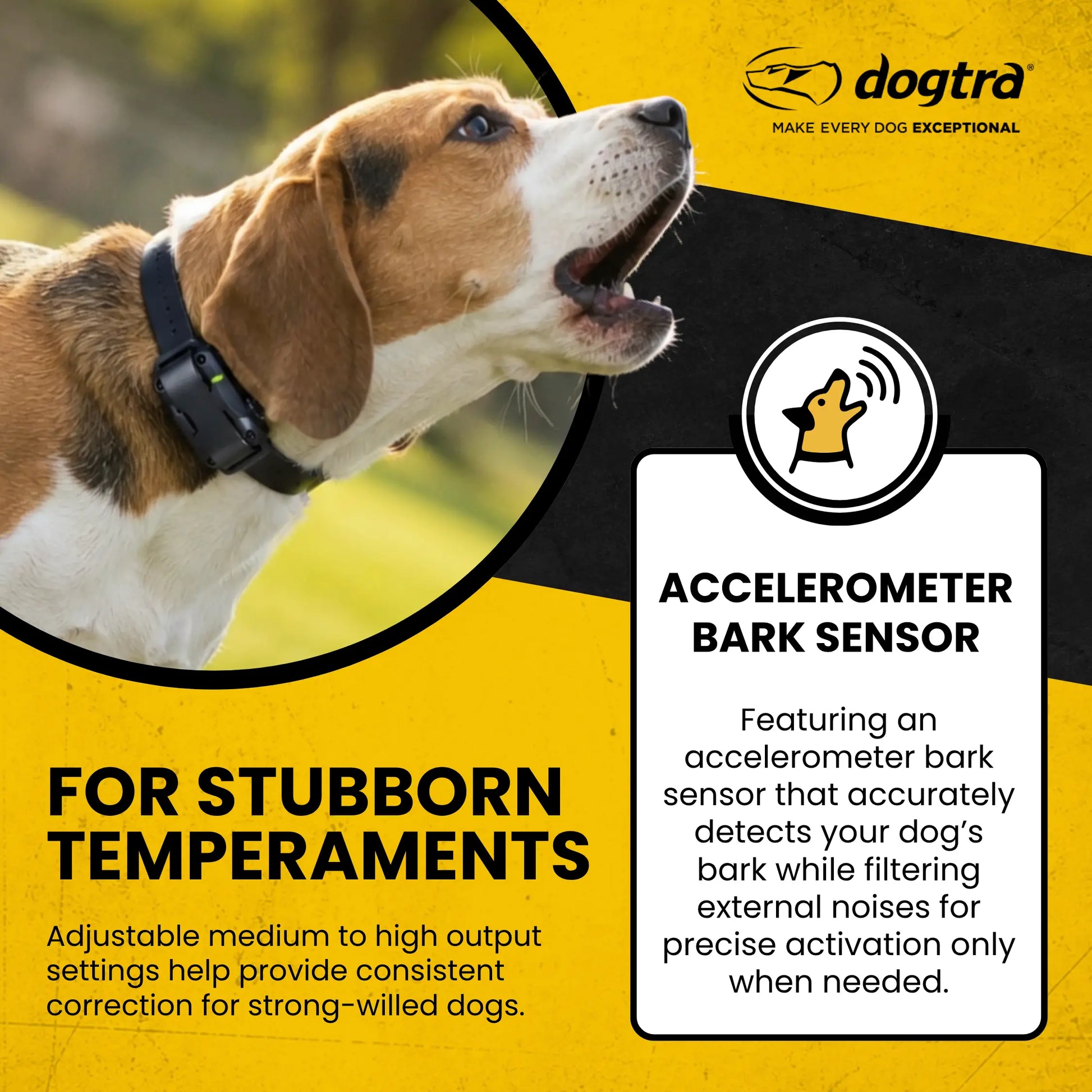 petstek.myshopify.com Dogtra - YS600 - No Bark Collar  Dogtra