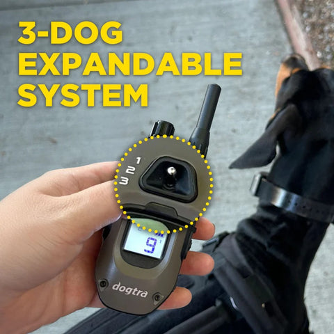 Dogtra - 1900X-2 Dog - 3/4 Mile - Remote Training Collar