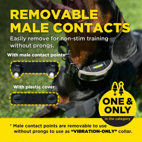 Dogtra - 1900X - 3/4 Mile - Remote Training Collar