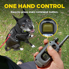 Dogtra 280X Remote Training E-Collar with One Hand Control