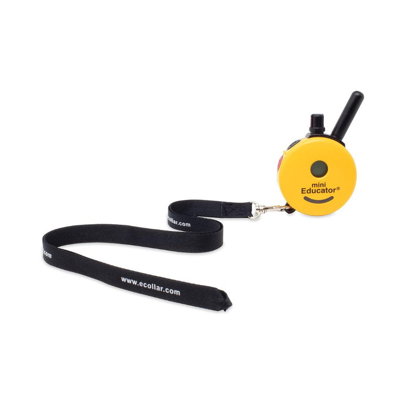 E-collar Technologies - Transmitter Lanyard-zoom-