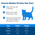 PetSafe Extreme Weather Pet Door Product Size Chart