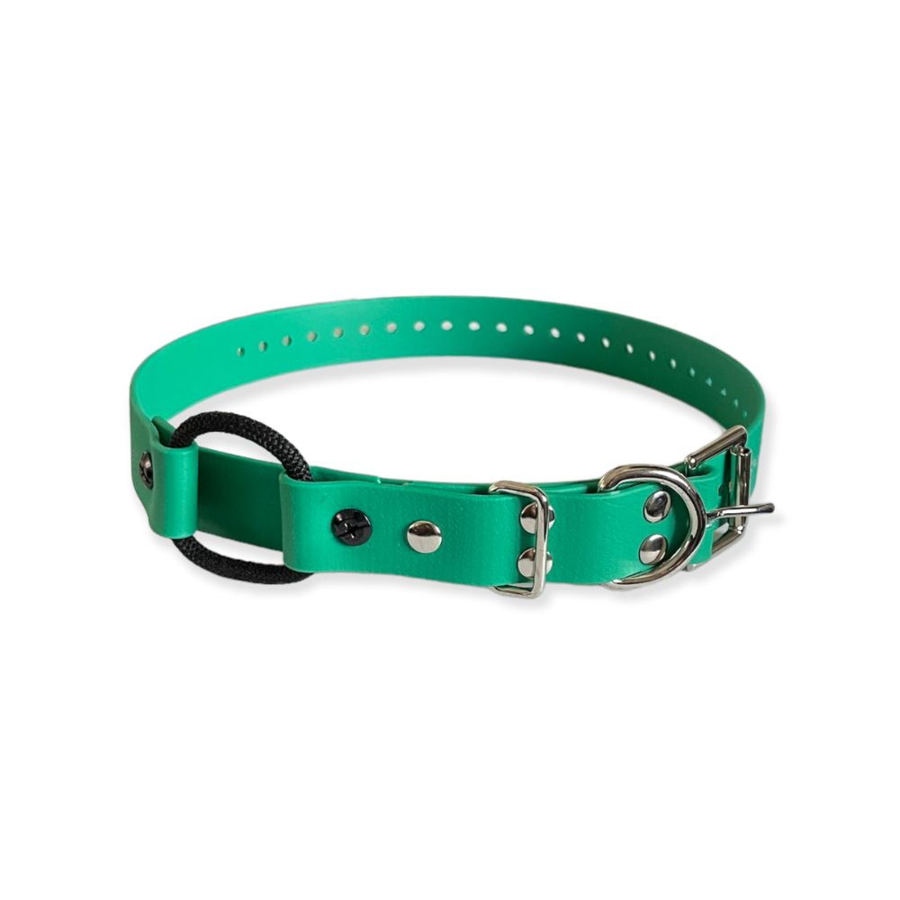E-Collar Technologies 1" x 33" Green Bungee Collar