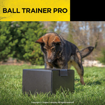 German Shepherd and Dogtra BALLTRAINERPRO