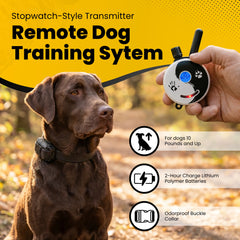 petstek.myshopify.com Mini Educator ET-300 Remote Dog Training Collar ZEN by E-Collar Technologies  E-Collar Technologies