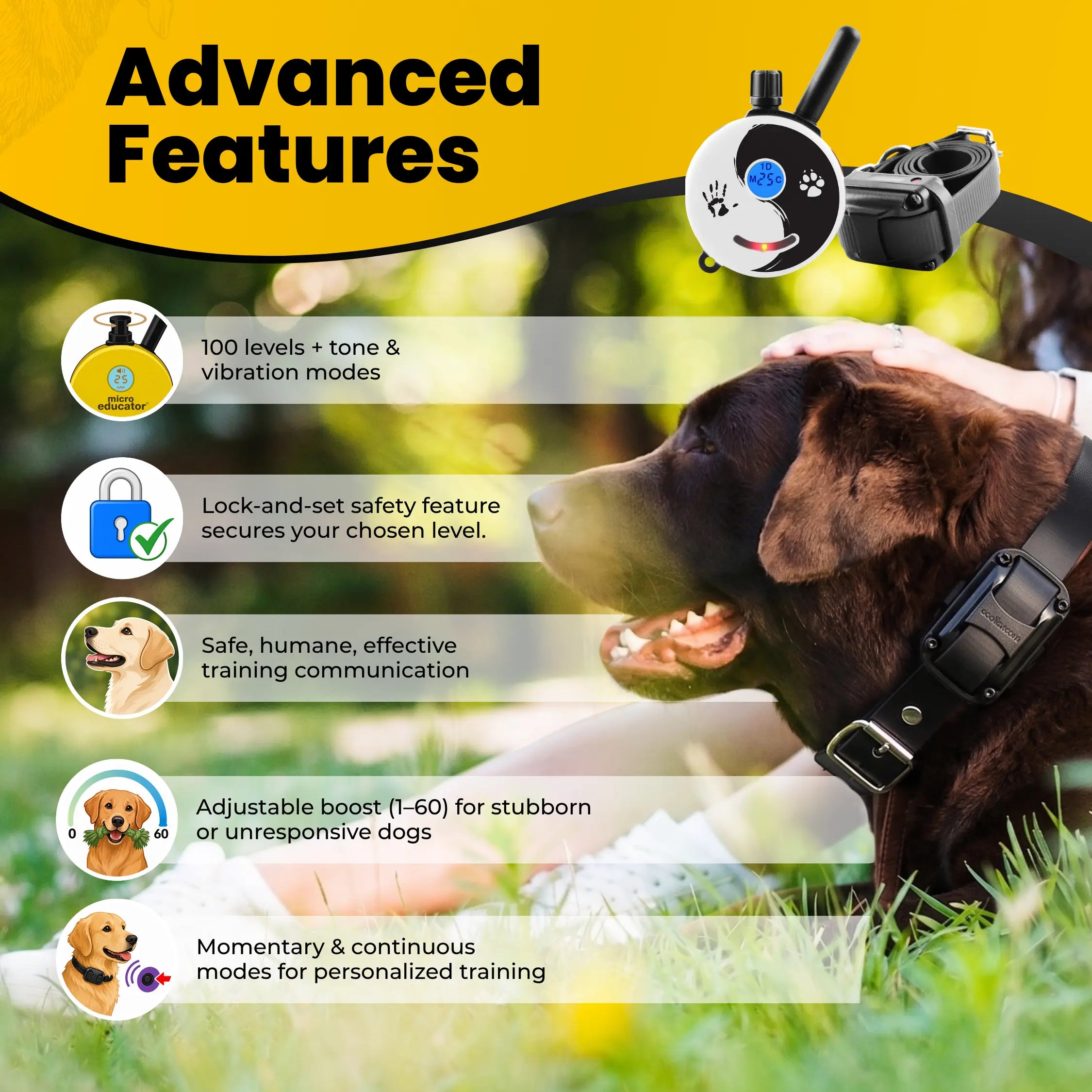 petstek.myshopify.com Mini Educator ET-300 Remote Dog Training Collar ZEN by E-Collar Technologies  E-Collar Technologies