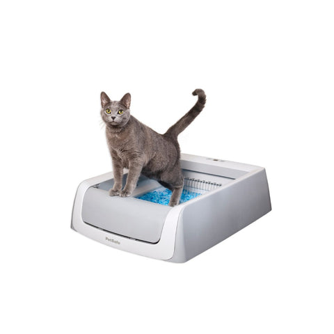 Cat on PetSafe ScoopFree Second Generation Self-Cleaning Cat Litter Box