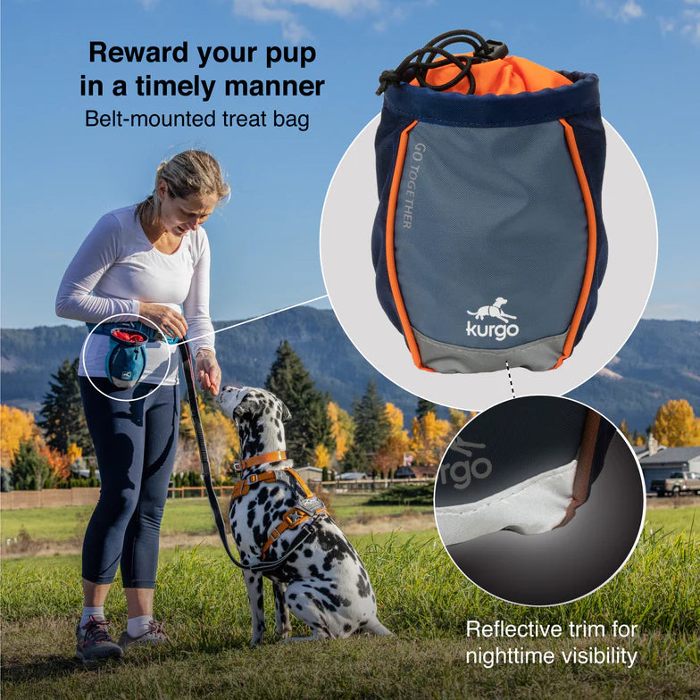Kurgo - Go Stuff It Treat Bag