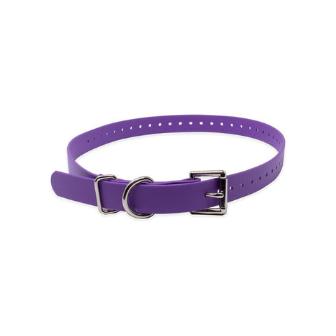 E-Collar Technologies 3/4" x 22.5" Biothane Strap in Purple