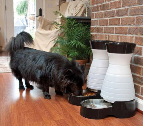 PetSafe - PFD17-11856 Healthy Pet Water Station - Large