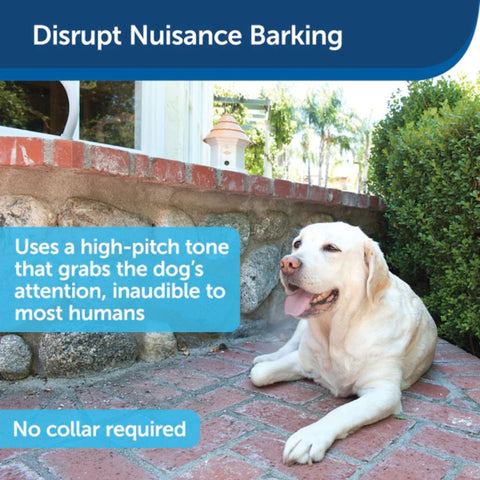 PetSafe Elite Outdoor Bark Control to Curb Nuisance Barking