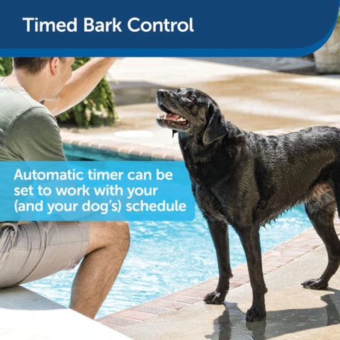 PetSafe Elite Outdoor Bark Control with Automatic Timer