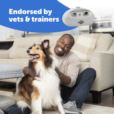 PetSafe PBC-1000 Indoor Bark Control Endorsed by Vets and Dog Trainers