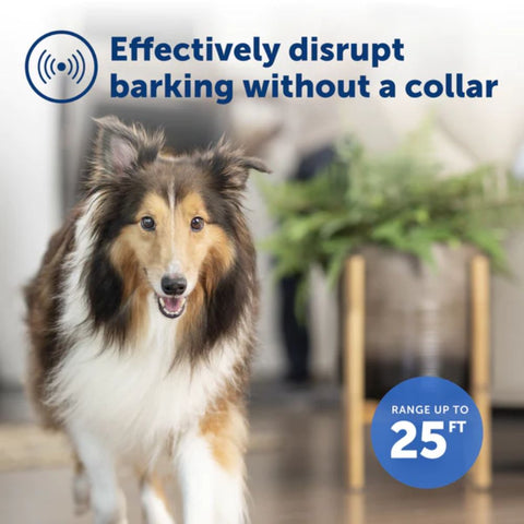 PetSafe PBC-1000 Indoor Bark Control in a Collarless Way