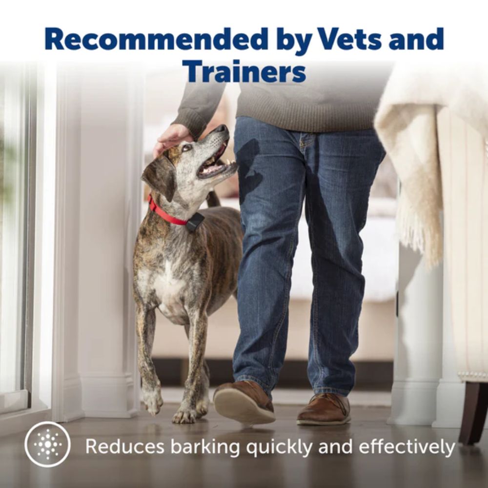 PetSafe PBC-102 Basic Bark Control Collar Endorsed by Vets and Trainers