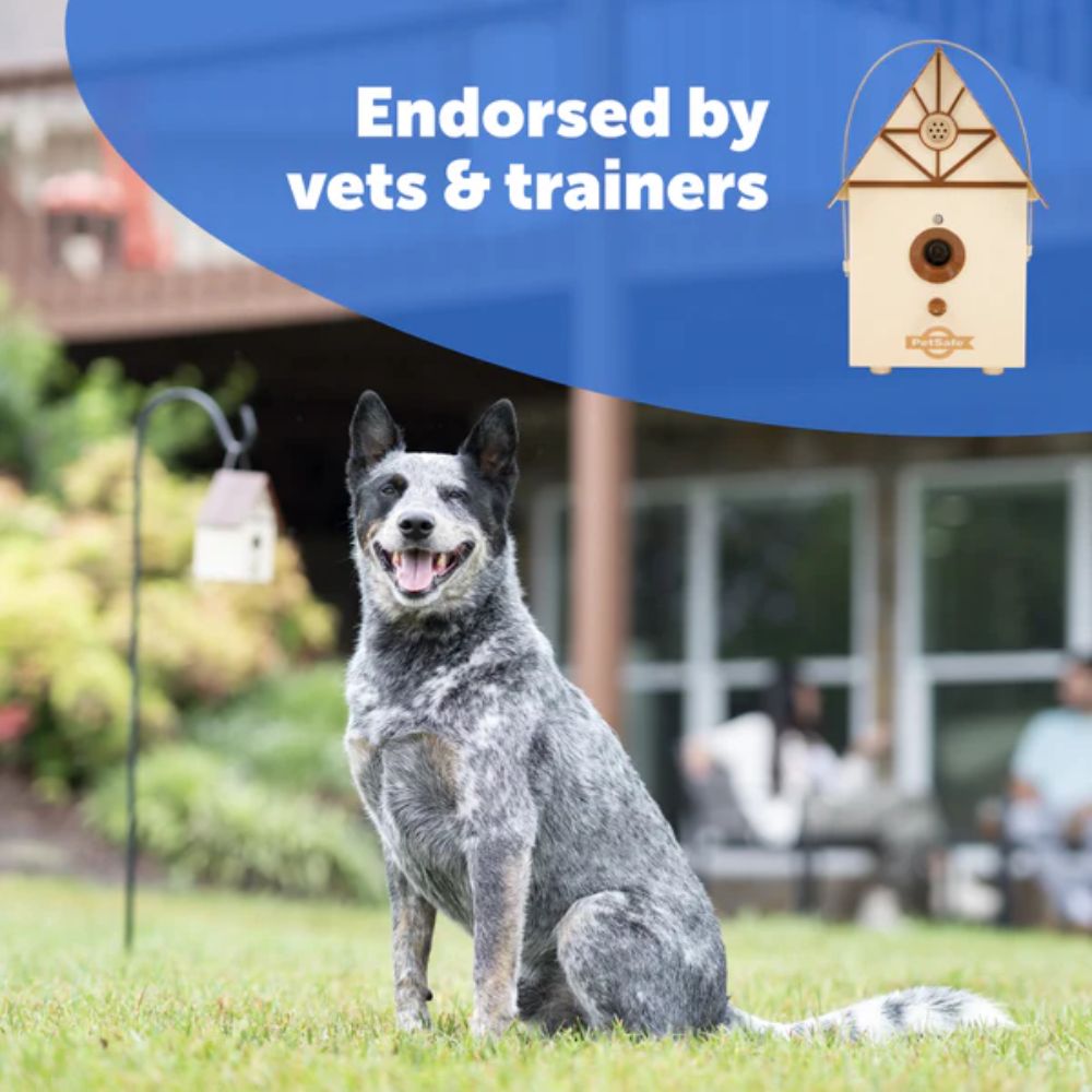 PetSafe PBC00-11216 Outdoor Bark Control as Endorsed by Vets and Trainers
