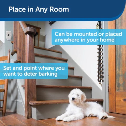 PetSafe PBC00-15266 Indoor Bark Control Can Be Mounted in Any Room
