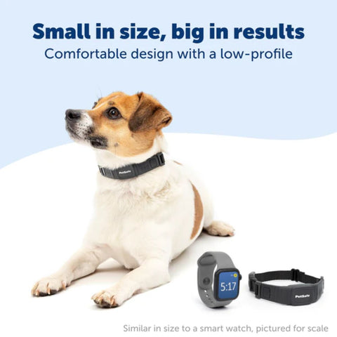 PetSafe PBC00-17758 NanoBark™ Collar Features a Low-Profile, Comfy Fit