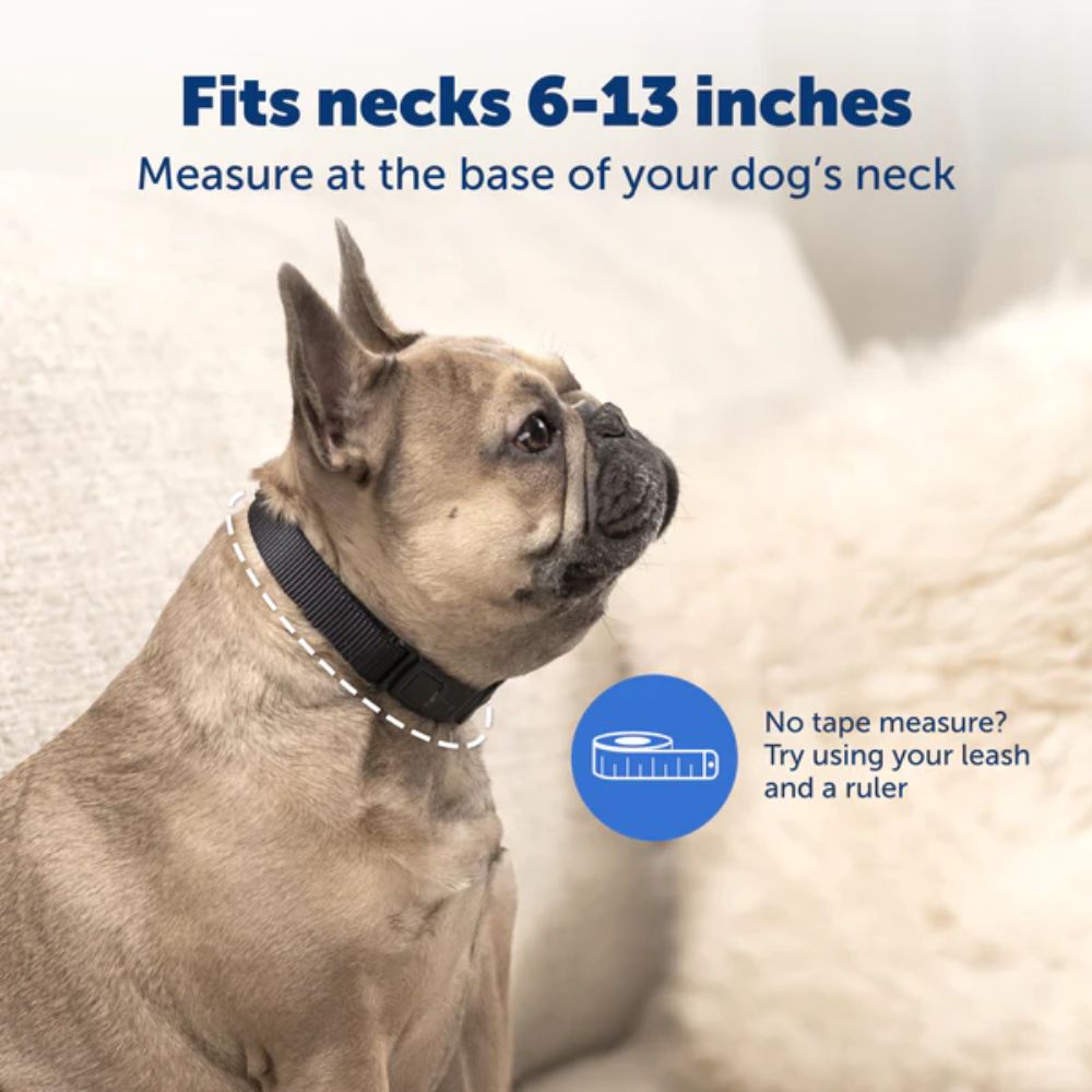 PetSafe PBC00-17758 NanoBark™ Collar Recommended Neck Size