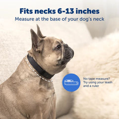 PetSafe PBC00-17758 NanoBark™ Collar Recommended Neck Size