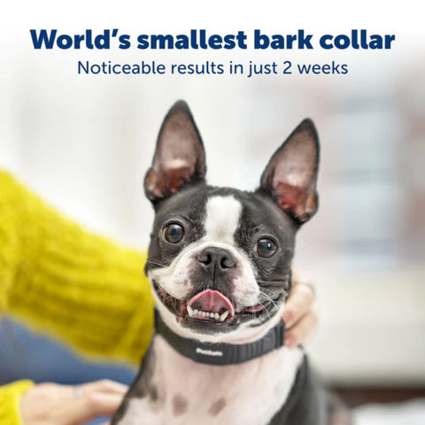 PetSafe PBC00-17758 NanoBark™ Collar, World_s Smallest No Bark Collar