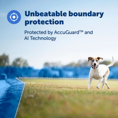 PetSafe - PIF00-17804 - Guardian® GPS + Tracking Dog Fence Collar - E-Fence