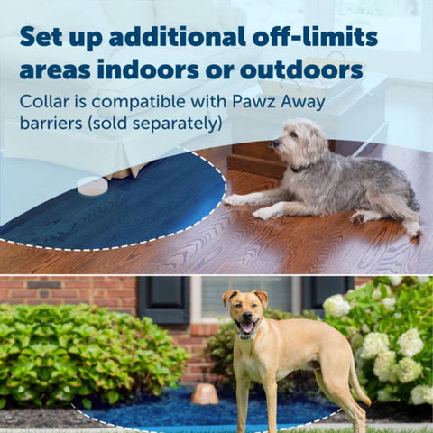 PetSafe PIG00-17440 Classic In-Ground Fence Compatibility with Indoor Pet Barriers